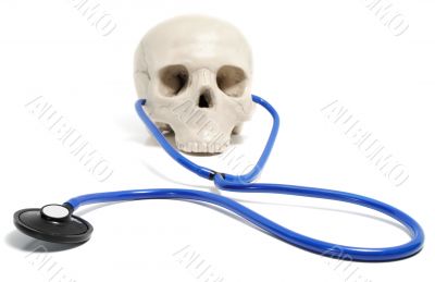 skull  with stethoscope 
