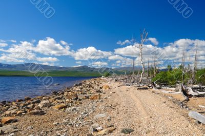 Coast of lake