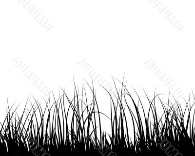 meadows plant  silhouette