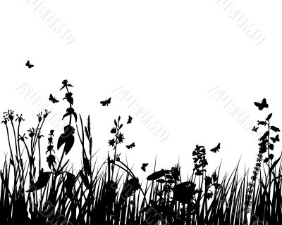 meadows plant  silhouette