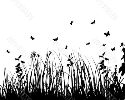 meadows plant  silhouette