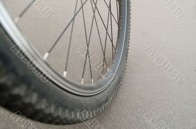 Mountain bike wheel