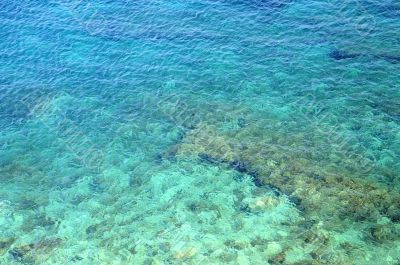 Reef in the Clear Water