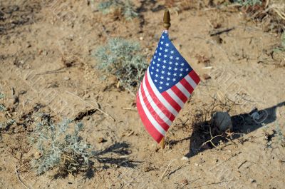 US Flag in the Desert