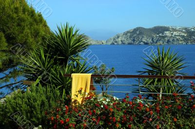 View from the Hotel Balcony