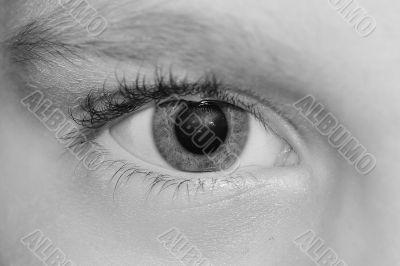 eye