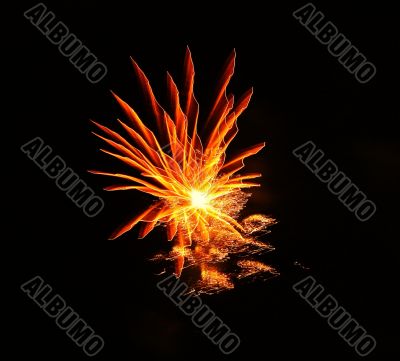 fire flower beautiful texture flash