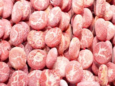 coral beads