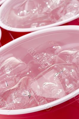 Water with Ice