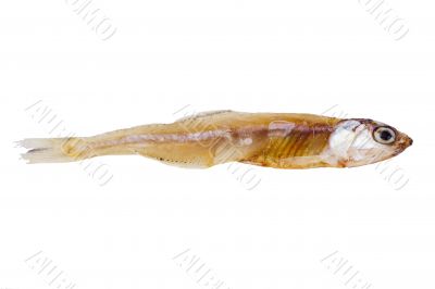 Dry Fish