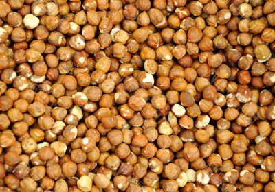 Closeup Shelled Hazelnuts