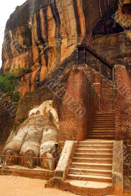 The Lion Mountain