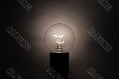 bulb
