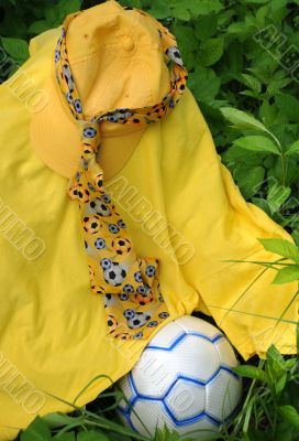 Soccer Fan`s Outfit