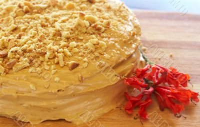 Caramel medovik cake
