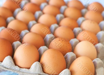 Tray of eggs