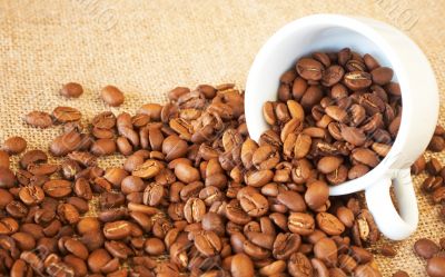 Cup filled with coffee beans