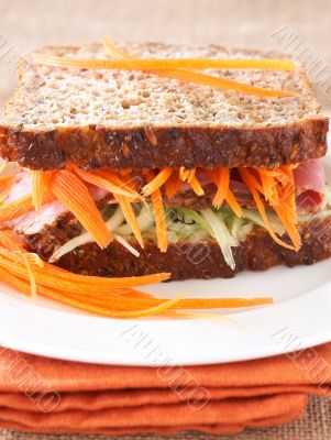 Tasty beef sandwich on wholewheat bread