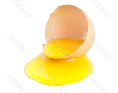 Broken egg isolated