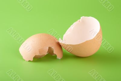 Egg shell on a green background