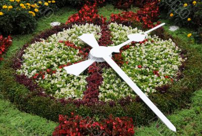Flower Clock