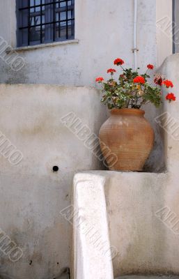 Flowers in Large Ceramic Vase