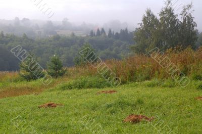 Foggy Morning Landscape