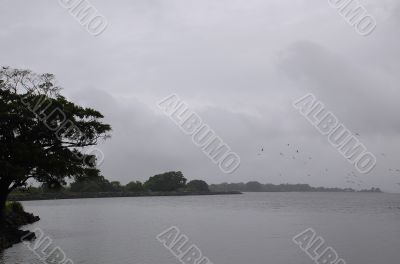 Gray Morning