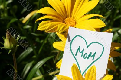 Happy Mothers Day