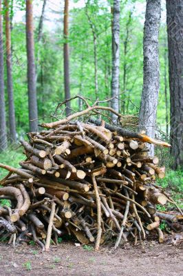 Firewood