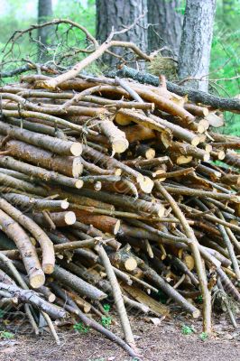 Firewood