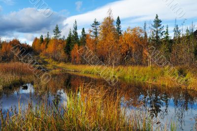 Autumn landscape.