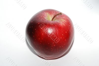 red apple