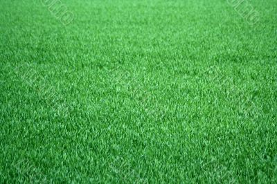 Grass background