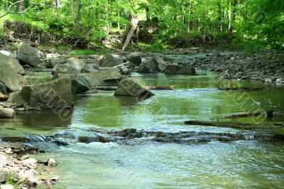 Stream in the woods