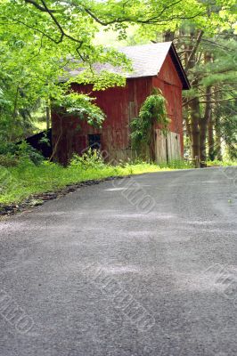 Red barn in the woods