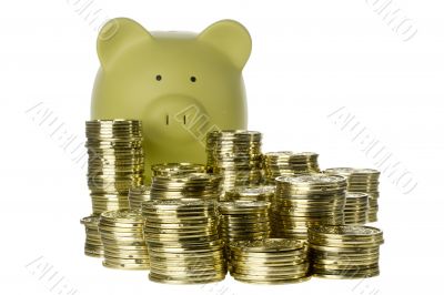 Piggy Bank and Coins