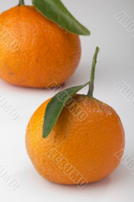 Orange Tangerine