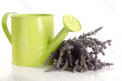 Lavender and Watering Can