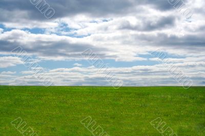 Green field and blue sky