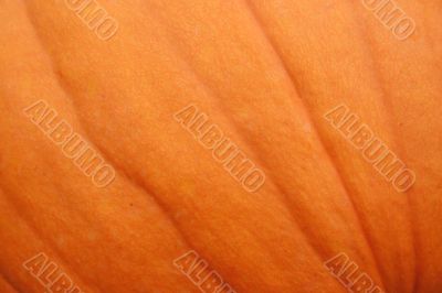 Pumpkin Background