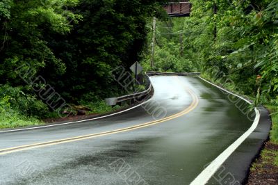 Curvey rural road