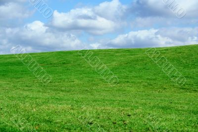 Field and cloudy sky