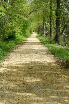 Path through the trees