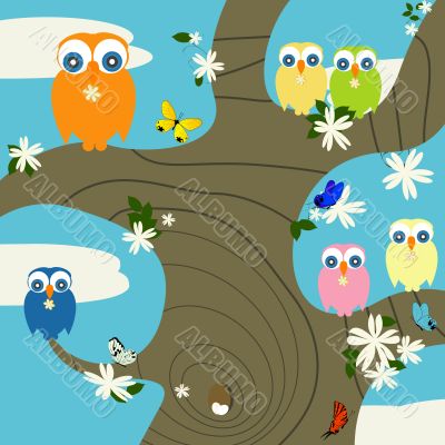 Owls nest