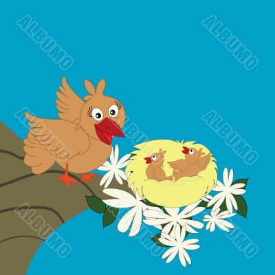 Bird family
