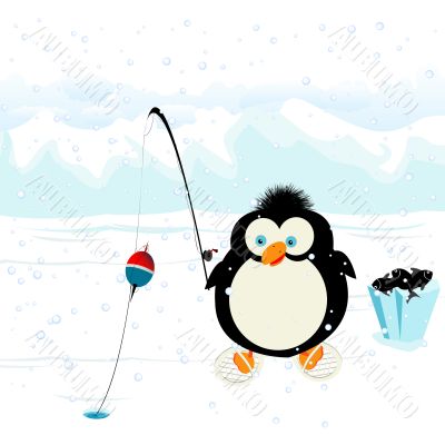 funny penguin