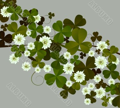 Clover