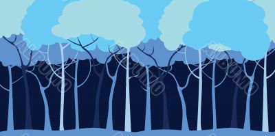 Forest background 