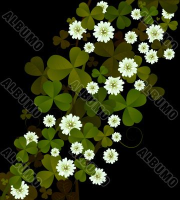 Clover background